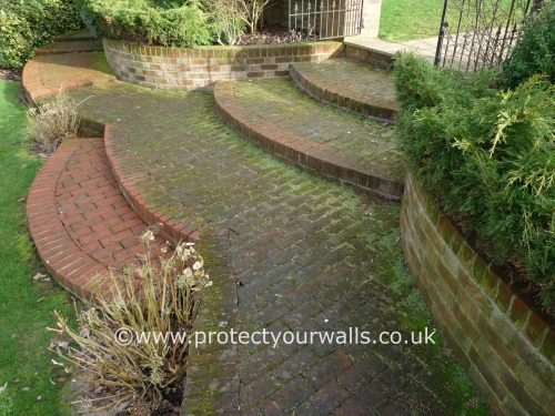 A path covered in moss and algae before power washing.