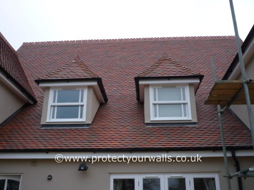 House tiles after algae removal treatment.