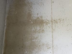 Penetrating damp photo